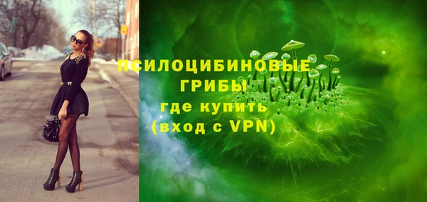 a pvp Абаза