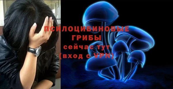 a pvp Абаза