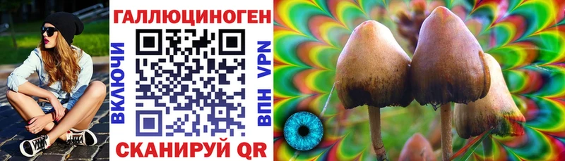Галлюциногенные грибы Psilocybe  Барнаул 