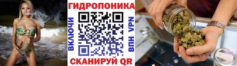 МАРИХУАНА планчик Барнаул
